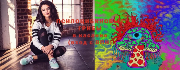 соль ск Бугульма