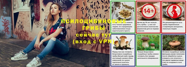 соль ск Бугульма